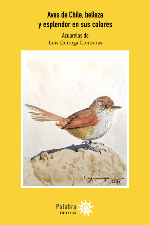 Aves de Chile, belleza y esplendor en sus colores
